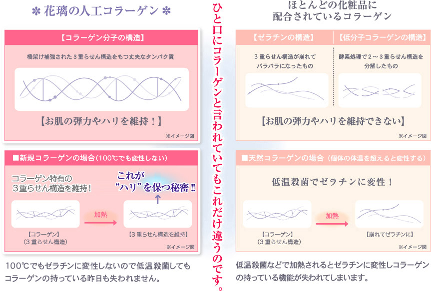 ひと口にコラーゲンと言われていてもこれだけ違うのです。